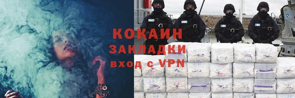 гидра Гусев
