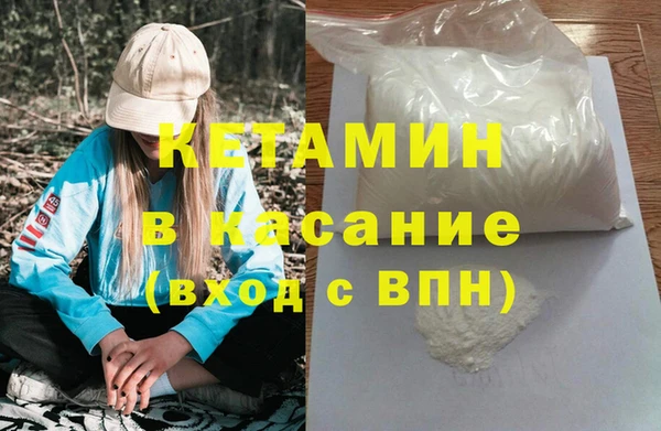 гидра Гусев