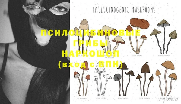 гидра Гусев