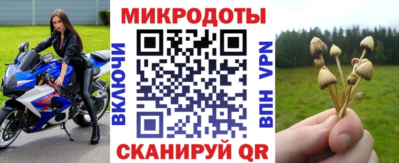 Псилоцибиновые грибы прущие грибы  гидра рабочий сайт  Железногорск-Илимский 